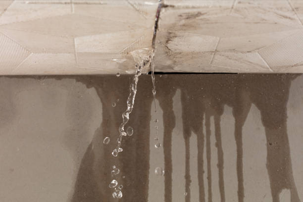 Professional Water Damage Repair technician working in Bremerton, WA